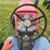massey-ferguson-175-image-25