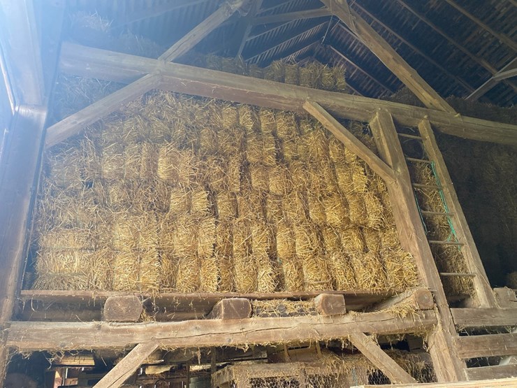 50-bales-of-good-clean-wheat-straw-small-square-45-50#-bales-image-5