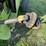 claas-rollant-66-image-14