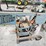 #6189-•-ellis-1600-metal-band-saw-image-2