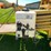 new-holland-d1000-image-22