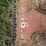 massey-ferguson-175-image-49
