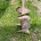 post-hole-auger-image-4