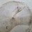 poly-coned-bottom-tank-image-12