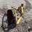 country-line-tiller-image-11