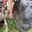 massey-ferguson-175-image-38