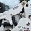 skid-steer-image-24
