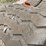 #8786-•-set-of-rubber-skidsteer-tracks-image-3