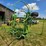 2015-krone-kw5.52/4x7t-image-6