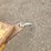 caterpillar-we-851b-image-9