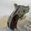 #76-•-cobra-cb38-38-special-pistol-ct118131-image-10