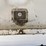 2013-ford-f350-image-10