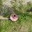 post-hole-auger-image-9