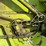 claas-rollant-66-image-30