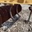 country-line-tiller-image-13