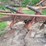 white-6-bottom-moldboard-plow-image-13