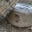 (2)-445/50r22.5-tires-w/aluminum-rims---tag-#1232-image-8