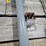 #6214-•-metal-shop-stand-image-5