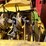 new-holland-d1000-image-19