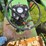 john-deere-2840-image-31