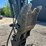 deere-50g-image-9