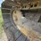 1995-caterpillar-d4c-image-20