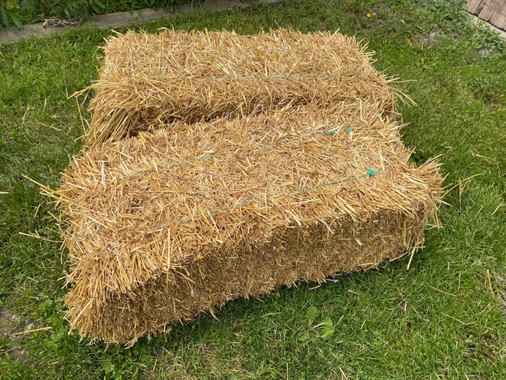50-bales-of-good-clean-wheat-straw-small-square-45-50#-bales-image-3