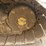 2004-caterpillar-d5g-lgp-image-11