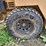 stone-rhino-roller-image-27