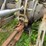 massey-ferguson-175-image-37