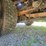 2017-ford-f550-image-65