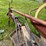 new-holland-488-image-9