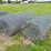 1500'-+/---of-deer/elk-fence-w/(4)-gates-image-27
