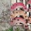 international-12-image-6