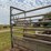 portable-livestock-loading-chute-image-9
