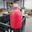 #6267-•-5-gal-plastic-gas-can-image-2