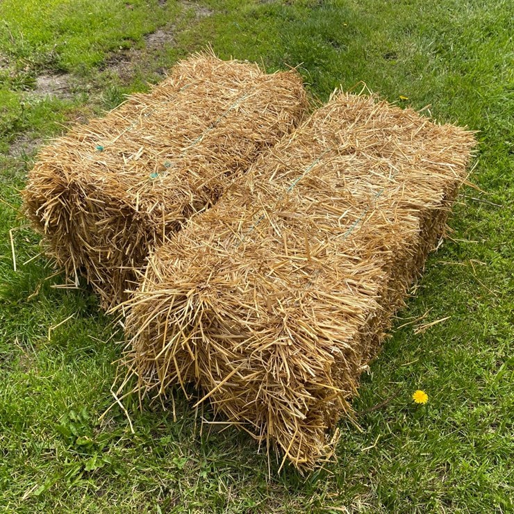 50 Bales of good clean Wheat Straw Small Square 45-50# Bales