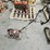 #6276-•-troy-bilt-sidewalk-edger-image-2