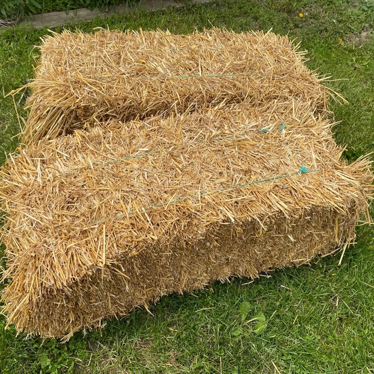 50 Bales of good clean Wheat Straw Small Square 45-50# Bales