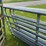 4---8'-galvanized-hog-and-sheep-gates-image-3