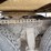2019-freightliner-cascadia-126-image-15