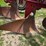 case-ih-540-image-7