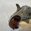 #76-•-cobra-cb38-38-special-pistol-ct118131-image-11