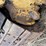 fiat-allis-16b-image-28