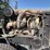 1994-peterbilt-377-image-12