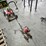 #6276-•-troy-bilt-sidewalk-edger-image-7