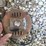 century-1/2hp-electric-motor-w/pulley,-110-volt---working-condition-image-4