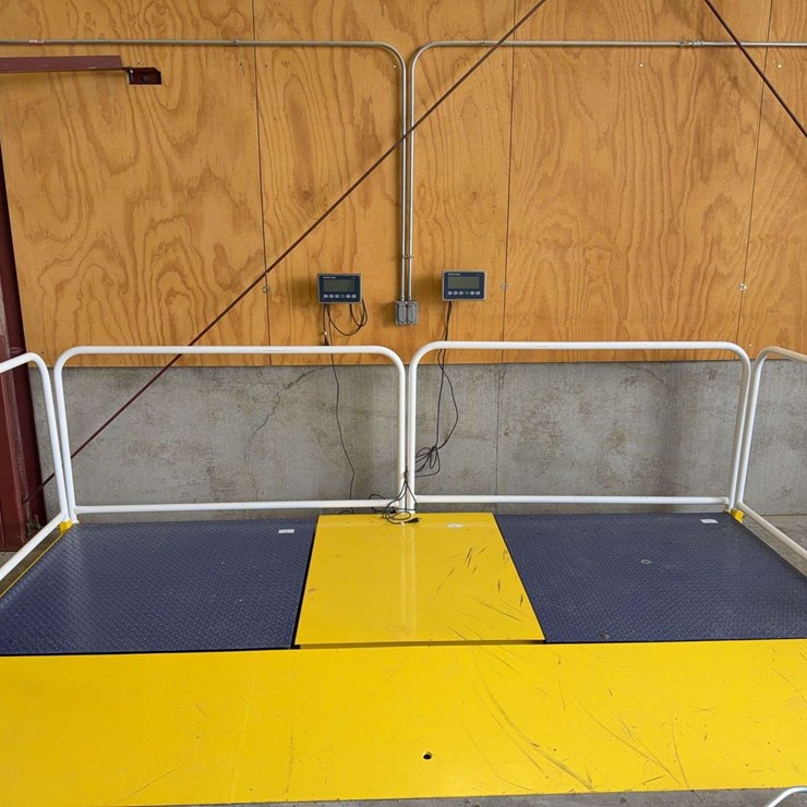 Custom Double Scale Frame
