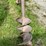 post-hole-auger-image-5