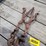 #6254-•-(2)-pullover-chain-binders-image-2